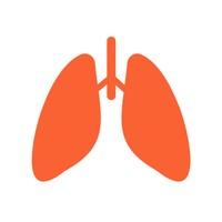 orange icon of lungs