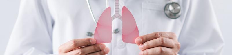 Physician wearing a white coat holding a fake set of lungs.