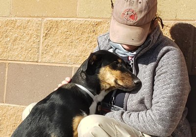 Staff member with a black and tan dog leaning on her.
