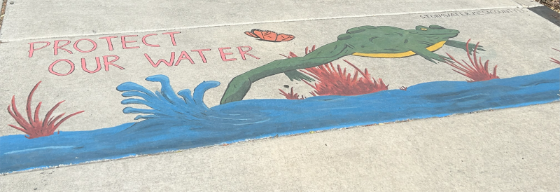 Painting on a sidewalk that says Protect Our Waters and shows a frog jumping out of a blue river. 