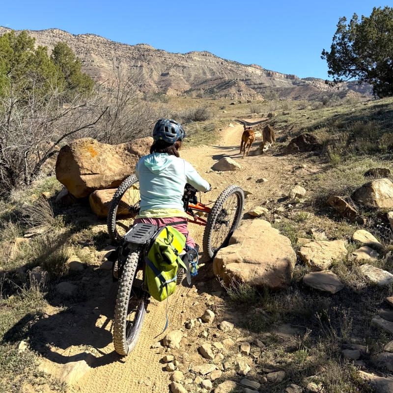 This person is biking a technical section of trail at North Fruita Desert using a specially modified electric motor assisted tricycle called an adaptive mountain bike along with a dog.
