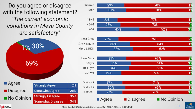 Graphic showing a pie chart that states 69% of people disagree with the statement, “the current economic conditions in Mesa County are satisfactory.”