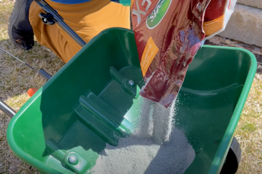 Grey grub control granules being poured into green drop spreader. 