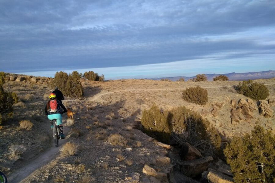 Person with teal shorts, a red backpack, and yellow and orange helmet riding a mountain bike along a trail outside.