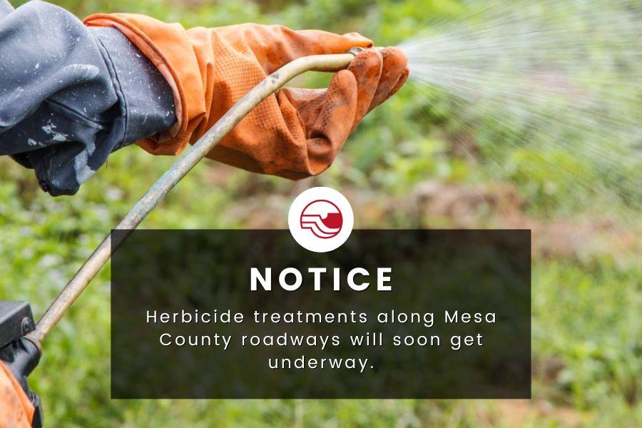 Hand wearing orange gardening glove sprays herbicides with cream colored hose. 