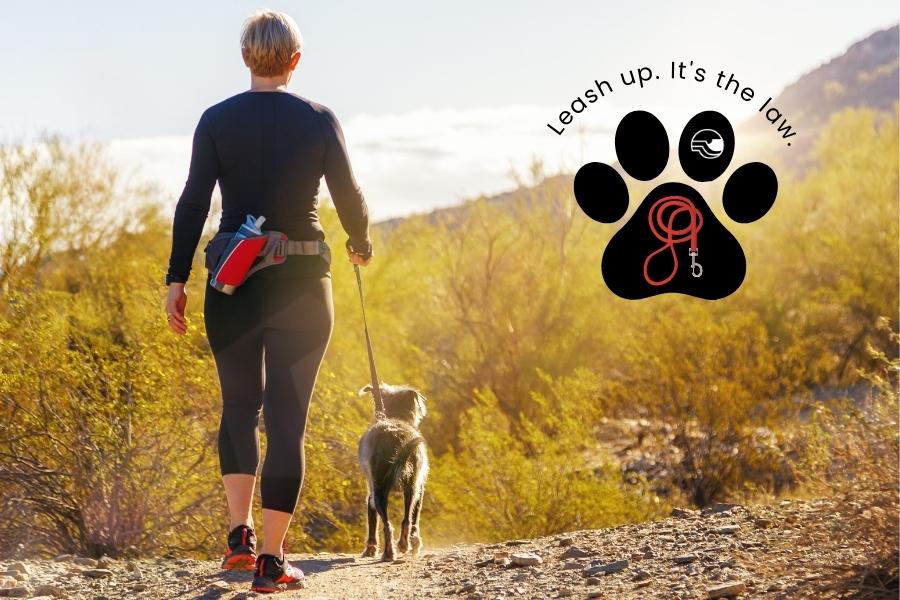 Back of woman walking dog on leash at open space with sun shining and black paw with red leash and white Mesa County logo.