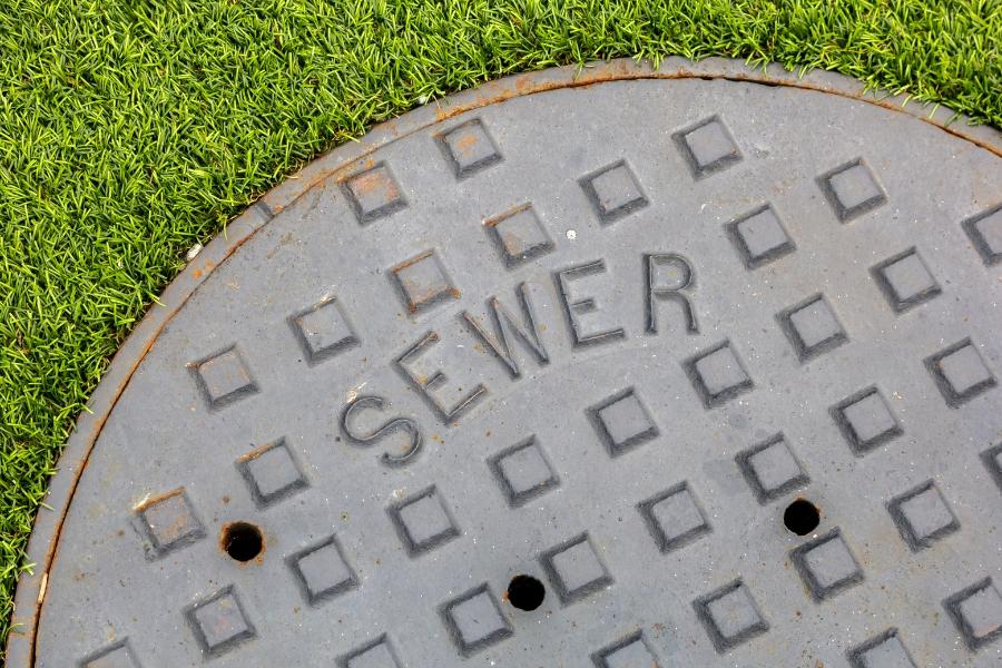 Brown/black sewer cover reading, "sewer", with green grass around.