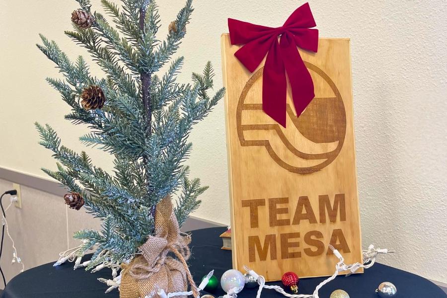 Small Christmas tree next to wooden board with Mesa County logo and "Team Mesa" engraved in it sitting on a black table.