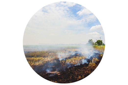 Image of large section of farm land that is being burned. There are large plumes of smoke  and charred areas of the field.