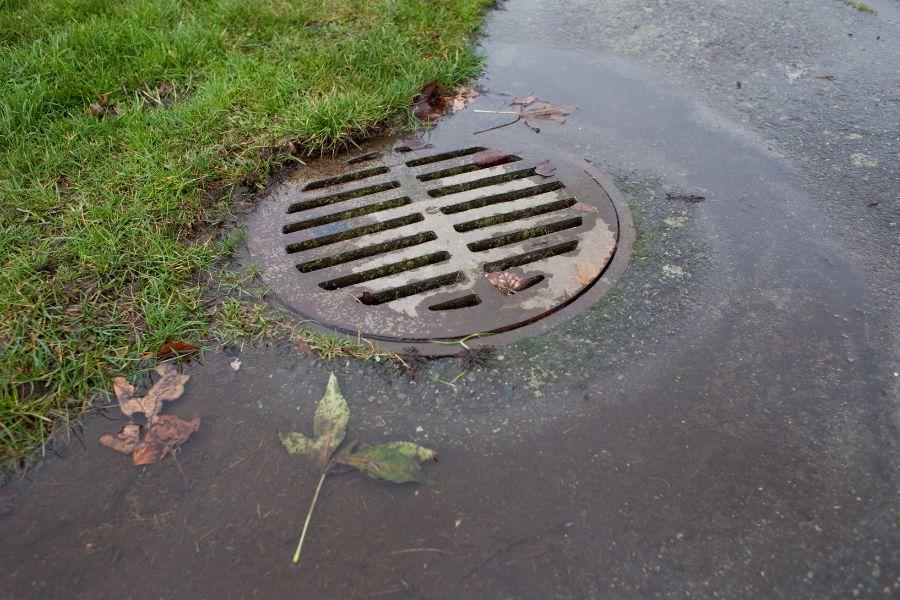 Circular stormwater drain surrounded by water, leaves, and grass.