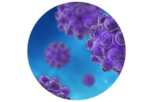 Microscopic image of measles virus cells.