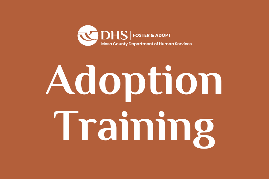 Adoption training and DHS logo on orange background