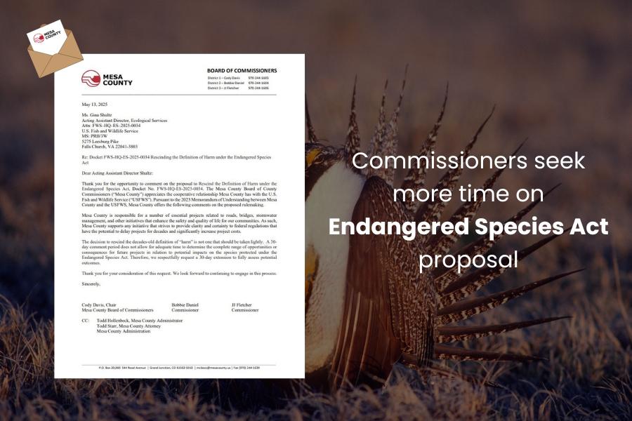 A Gunnison sage grouse in the background with a letter on top and white text reading Commissioners seek more time on Endangered Species Act proposal.