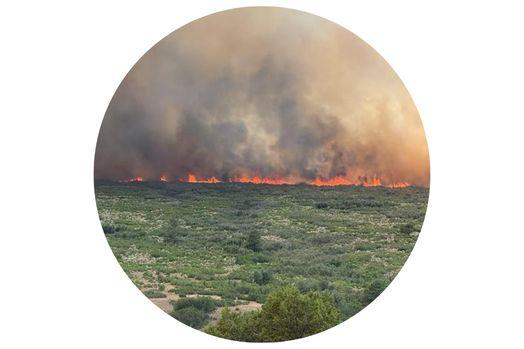 A wildfire burns along the horizon, sending thick smoke into the sky. Flames stretch across a wide area of brush and low vegetation in a green landscape.