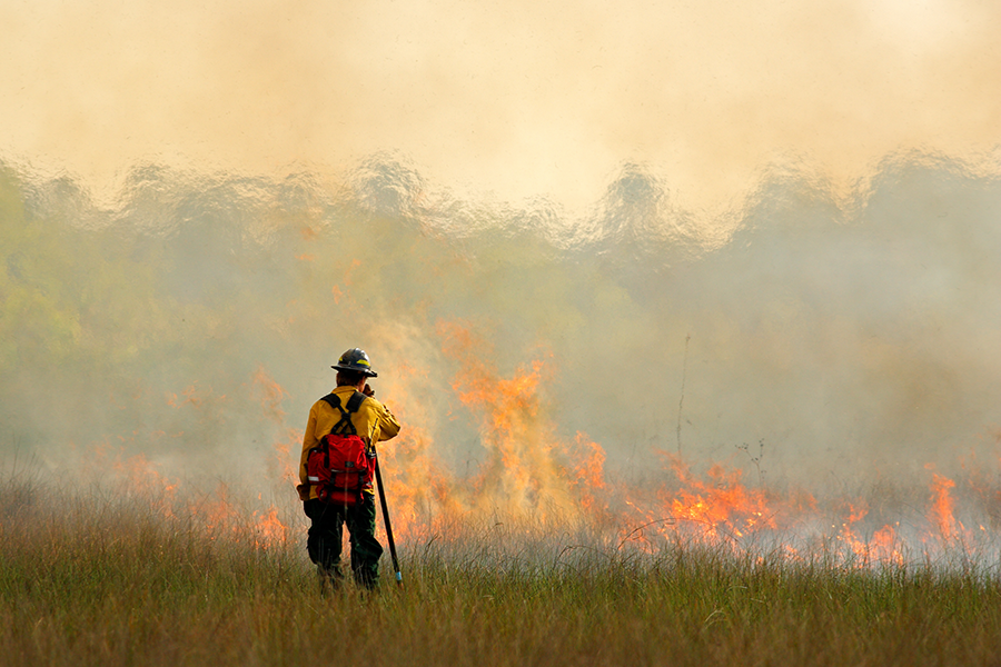 A firefighter in protective gear monitors a grass fire during a controlled burn, with flames and smoke spreading across a field in the background.