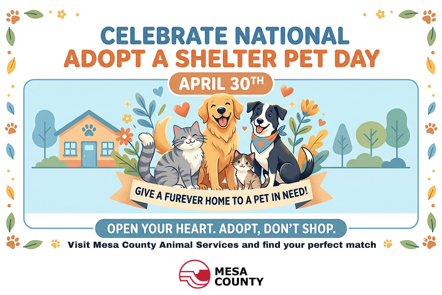 Celebrate Adopt a Shelter Pet Day April 30. Dogs and cats graphic. Adopt, don’t shop. Mesa County Animal Services.