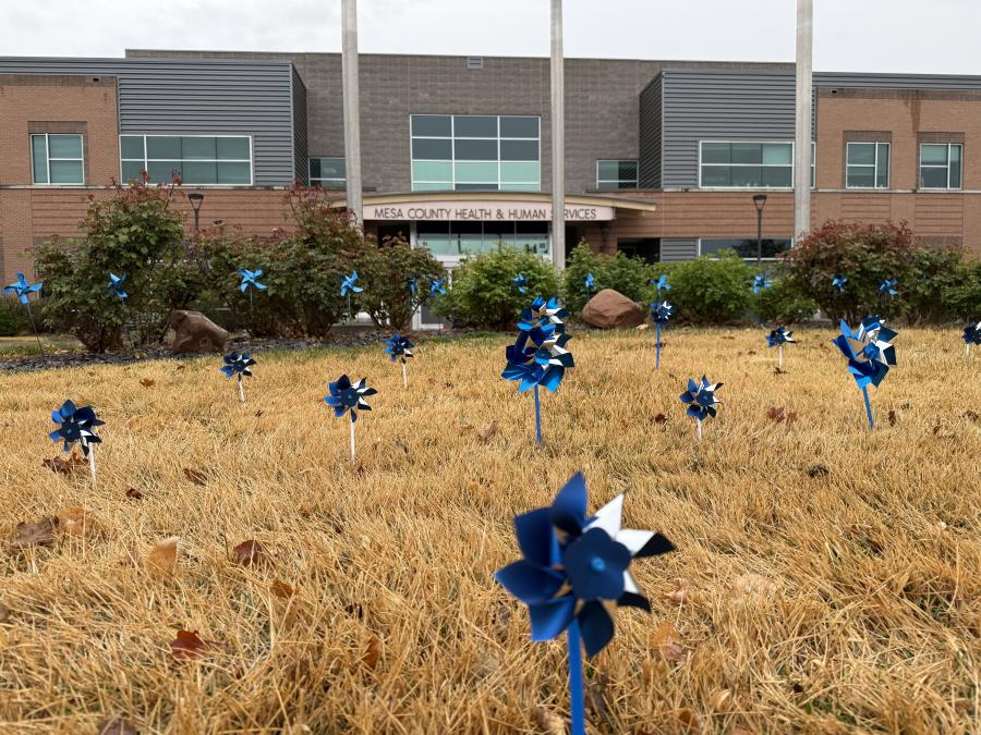 Blue pinwheels planted in front of the Health and Human Services building.