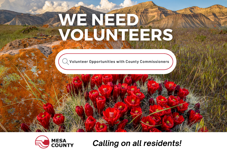 Promotional graphic with Mesa County landscape and red wildflowers reading “We Need Volunteers” and “Volunteer Opportunities with County Commissioners,” with Mesa County logo and text “Calling on all residents!”