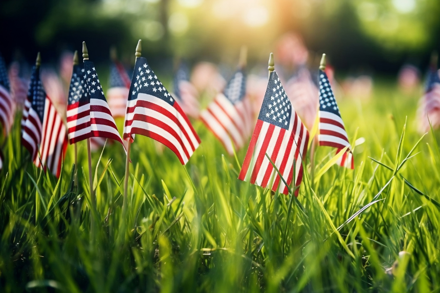 Small American flags are planted in green grass with sunlight shining in the background, symbolizing Memorial Day remembrance.