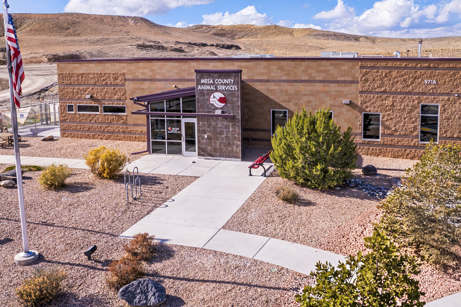 The Mesa County Animal Services building sits in a desert landscape with sidewalks, trees and gravel landscaping in front of the facility.